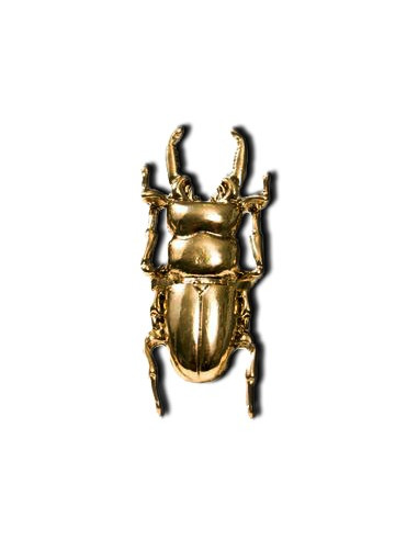 Inel vintage model scarabeu